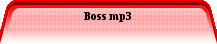 Boss mp3